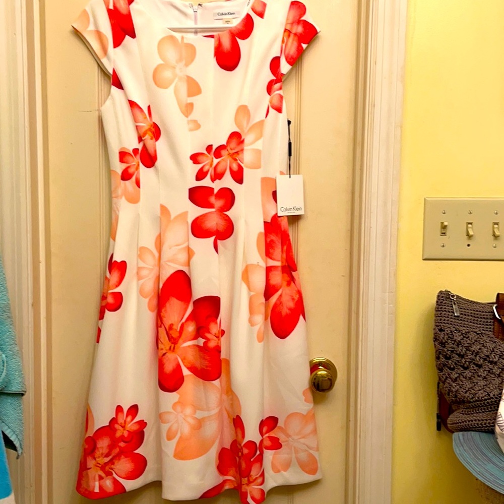 Women’s Calvin Klein Floral Pink and White Dress